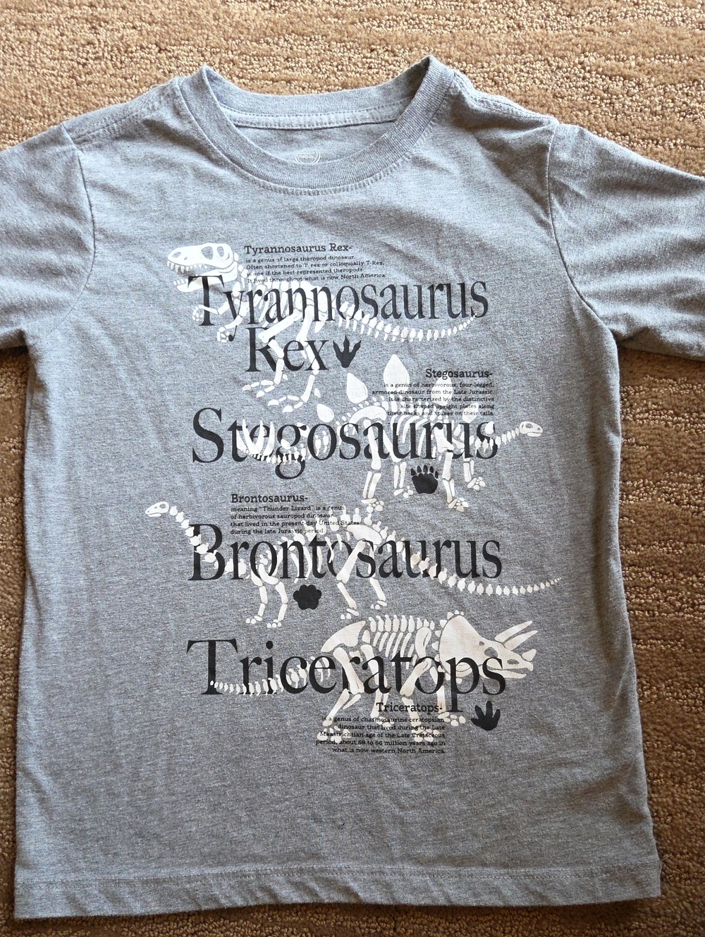 Gray Dinosaur Skeleton Graphic Tee